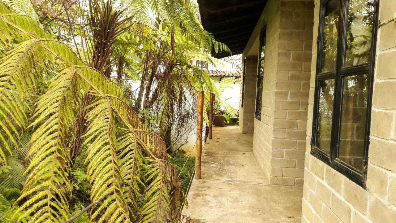 Hospedaje Totalmanik Cuetzalán del Progreso Exterior foto